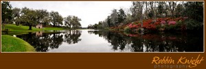 Middleton place gardens pano shot